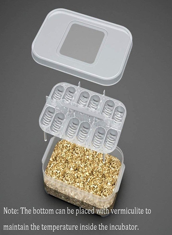 Still Awake Reptile Egg Incubator Professional Hatcher Hatching Box Case Tray Plastic Breeding Incubator for Hatching Snake,Lizards, Reptiles,Gecko(12 Slots with Thermometer) - Image 5